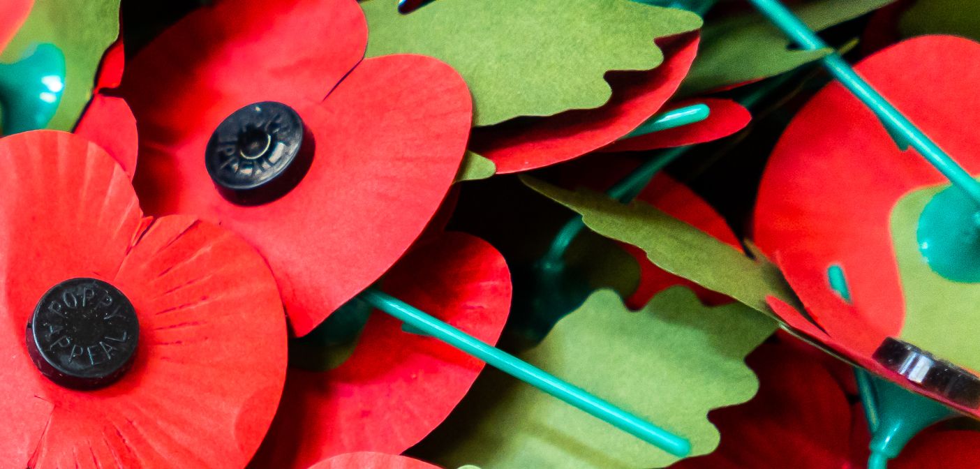 Royal British Legion automates poppy making | Robotics and Automation