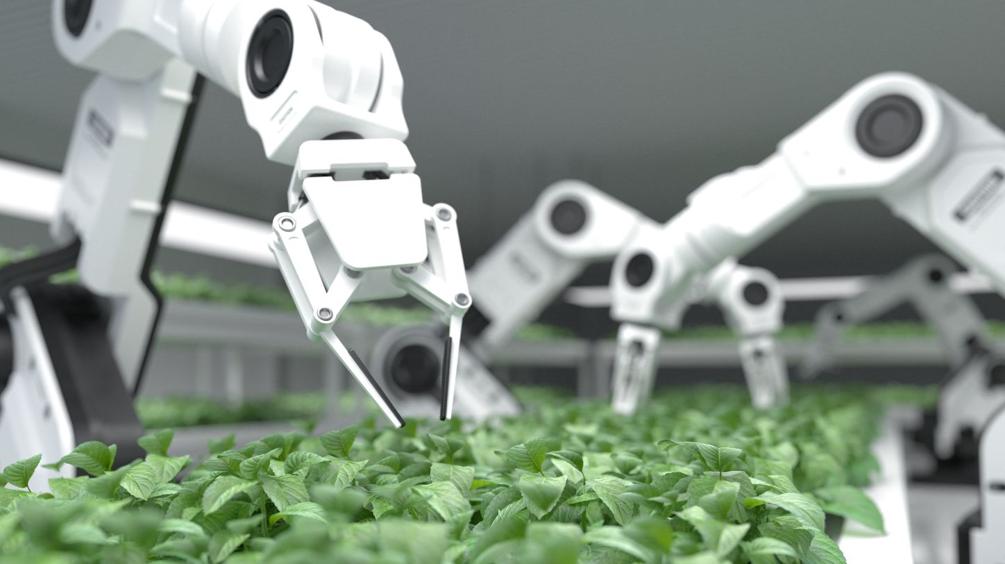 3 ways AI can help farmers tackle the challenges of modern agriculture ...