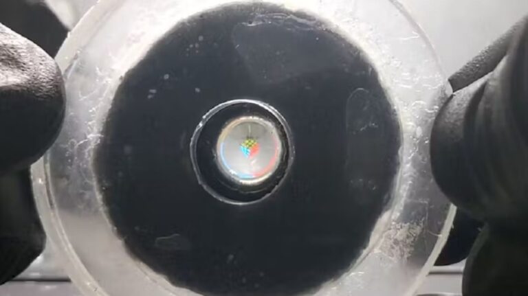 A flexible lens controlled by light-activated artificial muscles promises to let soft machines see